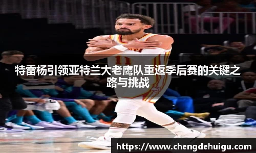 特雷杨引领亚特兰大老鹰队重返季后赛的关键之路与挑战